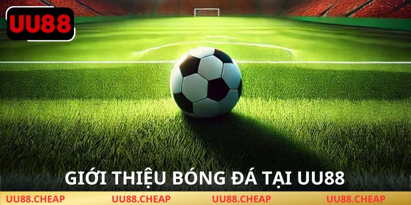 Cam kết mang đến trải nghiệm bóng đá trực tuyến mượt mà chuẩn quốc tế