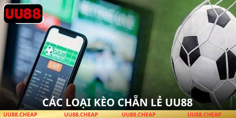 Các loại kèo chẵn lẻ UU88